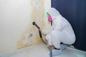 Best Industrial Mold Remediation  in Blue Rapids, KS